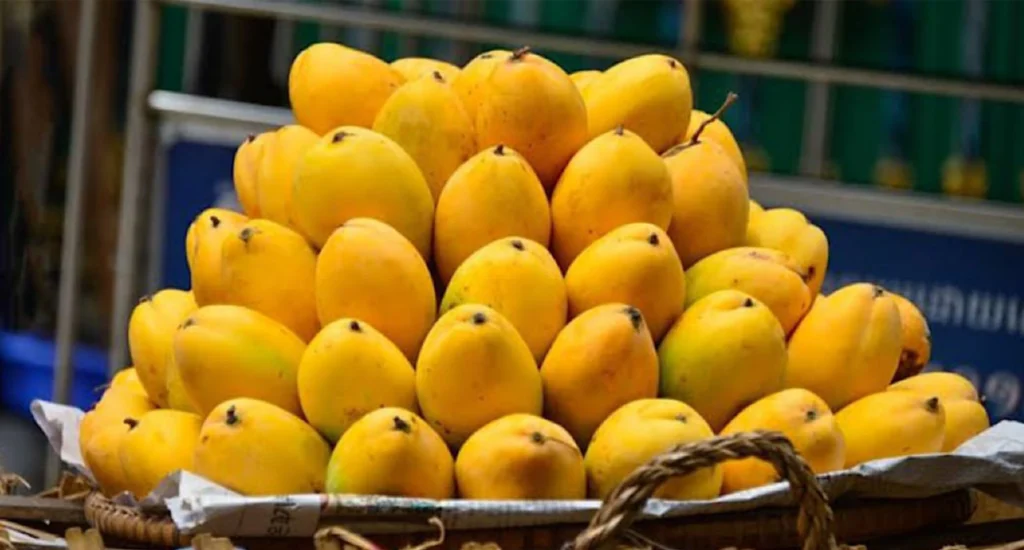 UAE Becomes Largest Importer of Pakistani Mangoes