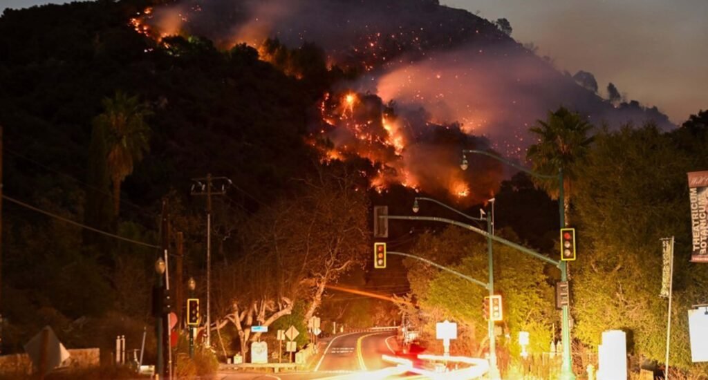 wildfire damages impacting forests