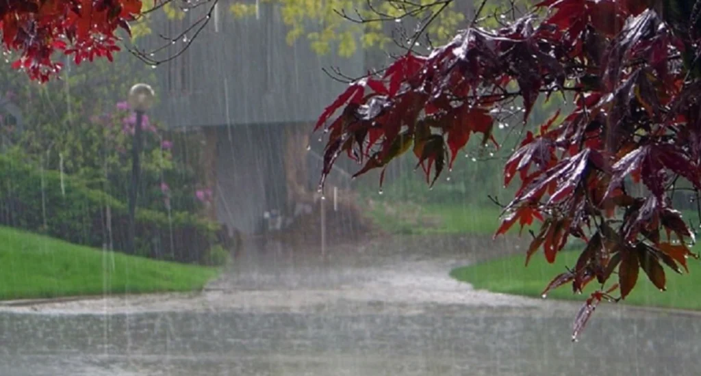 Heavy Rain Alert Issued