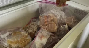 Spoiled Meat